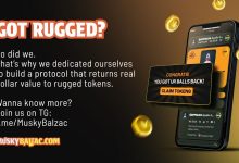 balzback-launches:-a-beacon-of-hope-for-rugged-meme-coin-holders,-now-open-for-submissions