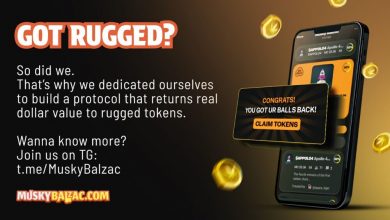 balzback-launches:-a-beacon-of-hope-for-rugged-meme-coin-holders,-now-open-for-submissions