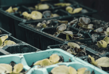 how-blockchain-is-tackling-food-waste-in-the-supply-chain